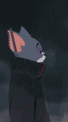 Akatsuki Tom Cat GIF