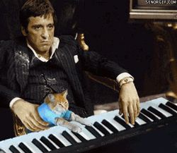 Al Pacino Helping Cat Piano GIF
