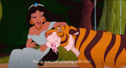 Aladdin Jasmine & Rajah