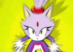 Alarmed Blaze The Cat GIF