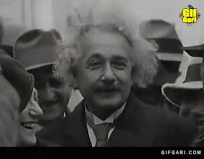 Albert Einstein Black And White GIF