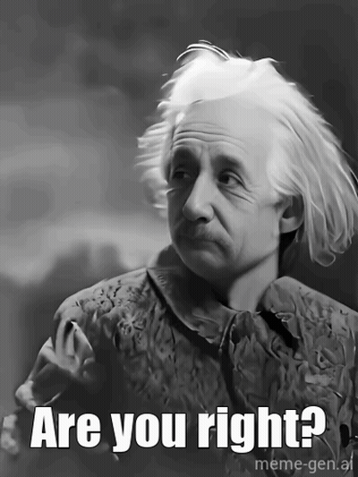 Albert Einstein Black And White Caption Are You Right? GIF
