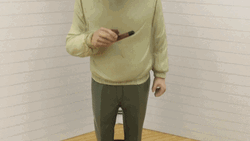 Albert Einstein Bubblehead GIF