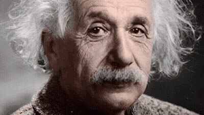 Albert Einstein Close Up Gray Hair Mustache GIF