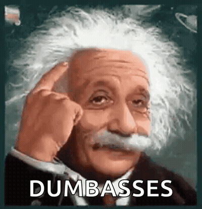 Albert Einstein Dumbasses GIF