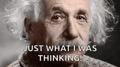 Albert Einstein Gray Hair Mustache GIF