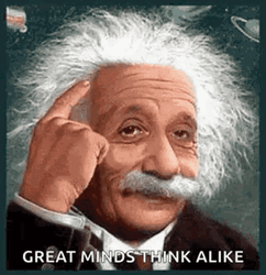 Albert Einstein Great Minds Think Alike GIF
