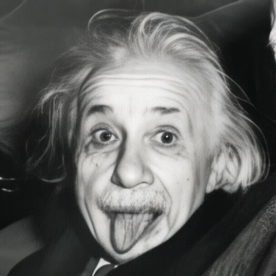 Albert Einstein Sticking Out Tongue Black And White GIF