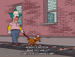 Albert Einstein Walking Dog GIF