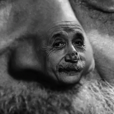 Albert Einstein With Bear Nose GIF