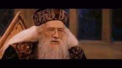 Albus Dumbledore Points For Gryffindor