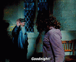 Albus Dumbledore Saying Goodnight