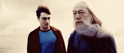 Albus Dumbledore With Harry Potter