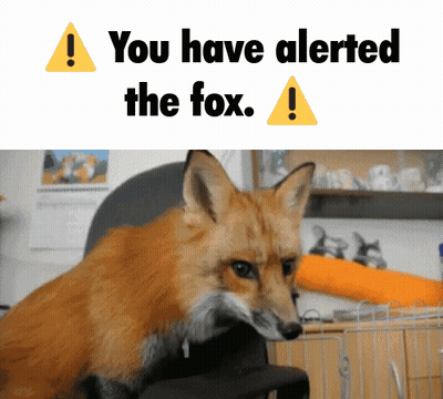 Alerted Fox With Words GIF