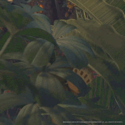Alex Cast Away On Madagascar GIF