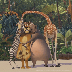 Alex Marty Gloria Melman Cast Away On Madagascar GIF