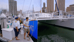 Alex Oloughlin Ship Mazel Tov  GIF