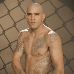 Alex Pereira Arrow Effect GIF