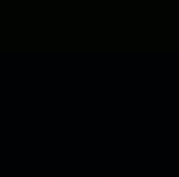 Alex Pereira Culture Tradition GIF