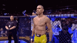 Alex Pereira Inside The Ring Focus GIF