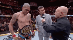 Alex Pereira Let's Go To The Gym GIF