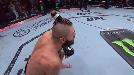 Alex Pereira Versus Jiří Procházka GIF