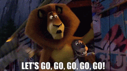 Alex The Lion Tell Friends Go Go Go GIF