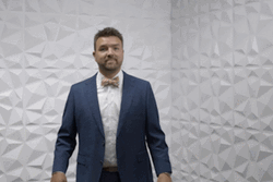 Alex Young Convincing Absolutely Not GIF