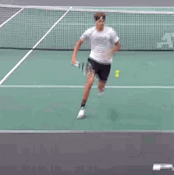 Alexander Zverev Tweener Fail GIF