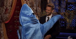 Alexis Dolphin Suit Hugging The Bachelor  GIF