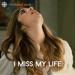 Alexis Rose Says I Miss My Life GIF