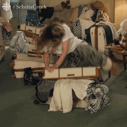 Alexis Rose Wrestling With Luggage GIF