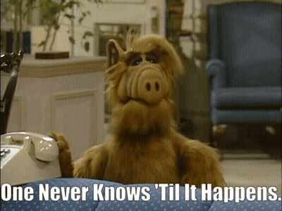 Alf From The Show Sits On A Couch Talking On A Phone With The Caption One Never Knows Til It Happens GIF