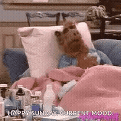 Alf From The Sitcom Alf Is Laying In A Chair With A Blanket On . GIF