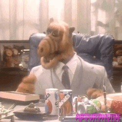 Alf Get Back To Work GIF