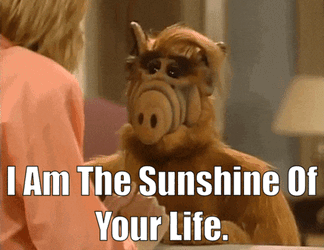 Alf I Am The Sunshine Of Your Life GIF