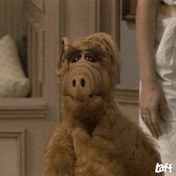 Alf Introduce Self While Gulp GIF