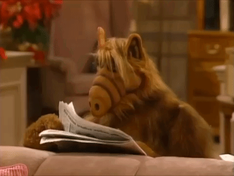 Alf Is Laying On A Couch Reading A Newspaper . GIF