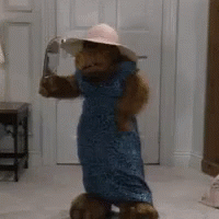 Alf Looking At Mirror GIF