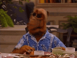 Alf Pointing To Someone GIF