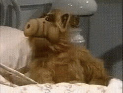 Alf Running Out Of Bed GIF