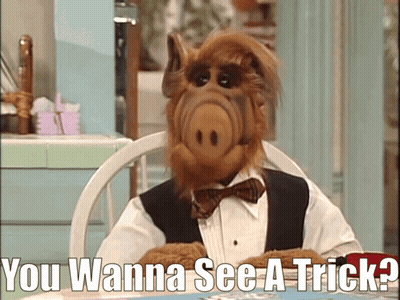 Alf Saying You Wanna See A Trick GIF