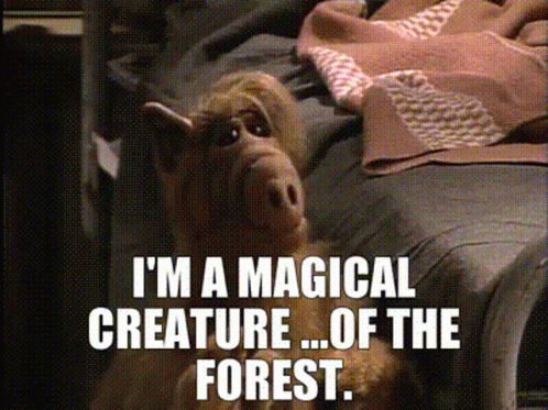 Alf Says I'm A Magical Creature Of The Forest Sitting On Bed GIF