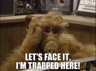 Alf Says Let 'S Face It I M Trapped Here GIF