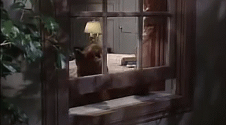 Alf Stuck On Window GIF