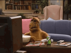 Alf Watcing TV While Eating GIF