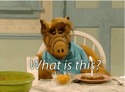 Alf What Is This GIF