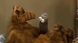 Alf Worm Puppet Hand GIF