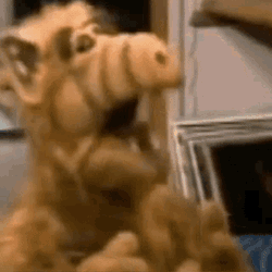 Alfing Alf GIF