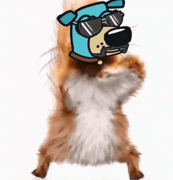 Algo Dugly GIF